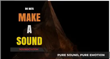 Do Bats Make a Sound? Unveiling Their Unique Communication Methods