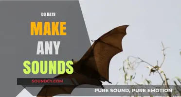 Do Bats Make Sounds? Unveiling Their Unique Communication Methods