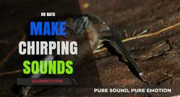 Do Bats Chirp? Unveiling the Truth Behind Their Unique Sounds