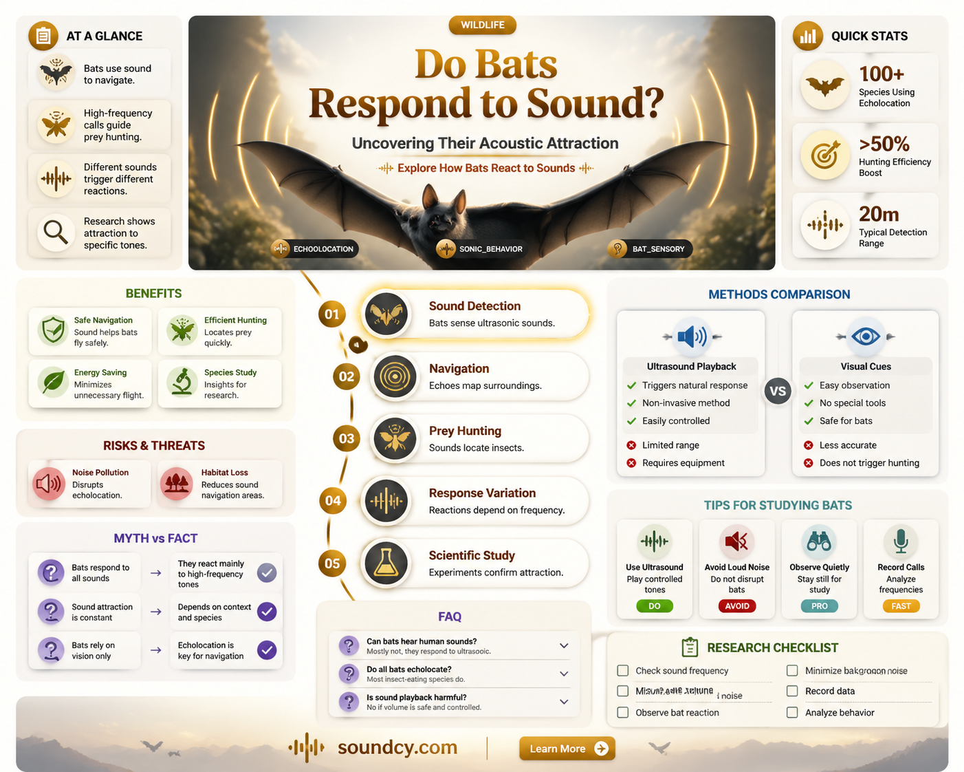 are bats attracted to sound