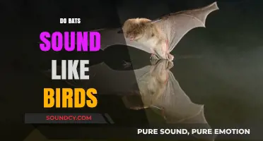Do Bats Mimic Bird Sounds? Unraveling the Acoustic Mystery