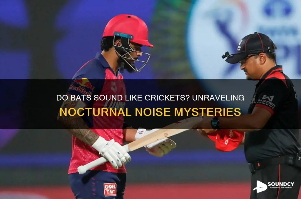 do bats sound like crickets