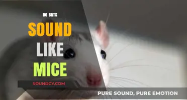 Do Bats Sound Like Mice? Unraveling Nocturnal Creature Noises