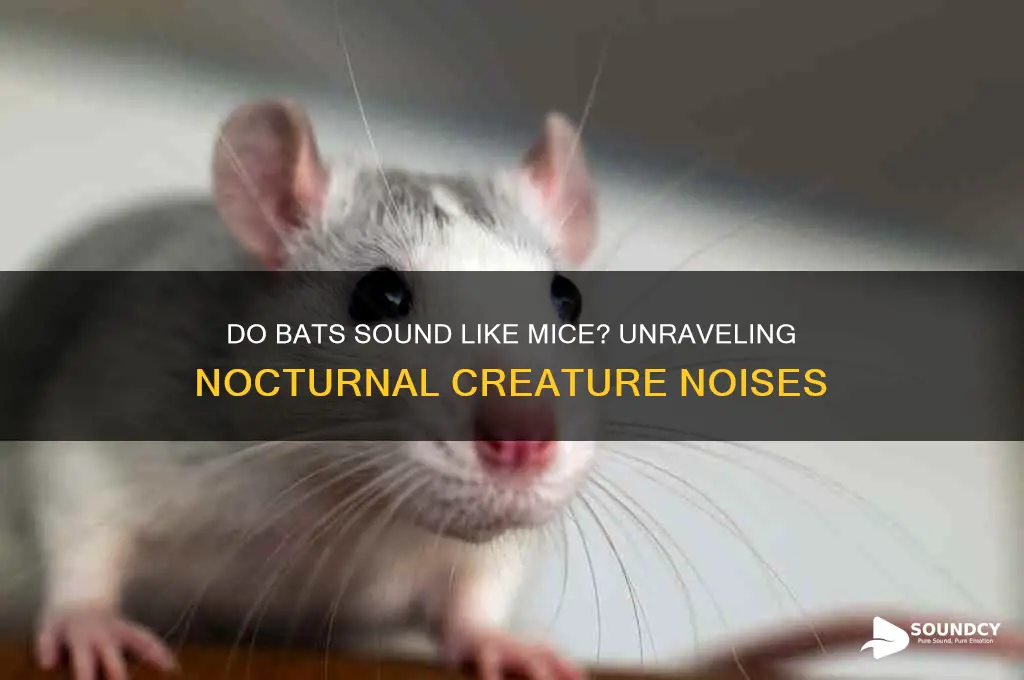 do bats sound like mice