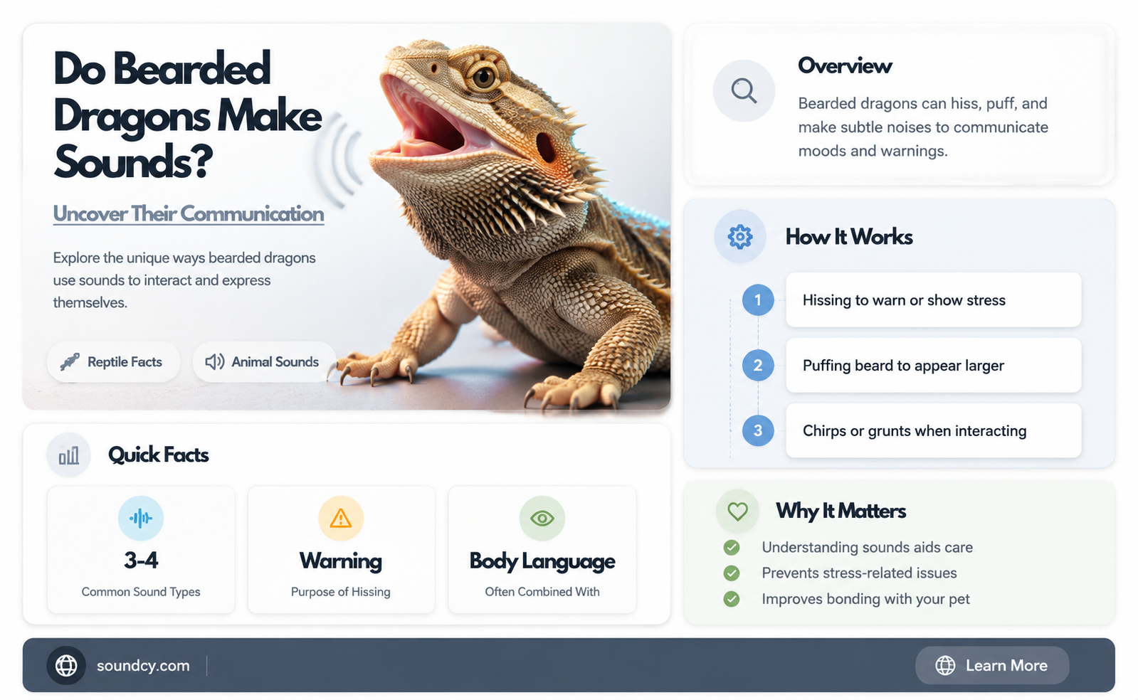do bearded dragons make sound