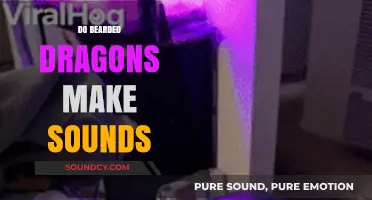 Do Bearded Dragons Make Sounds? Exploring Their Vocal Abilities