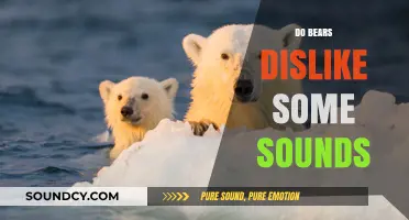 Do Bears Dislike Certain Sounds? Exploring Their Auditory Preferences