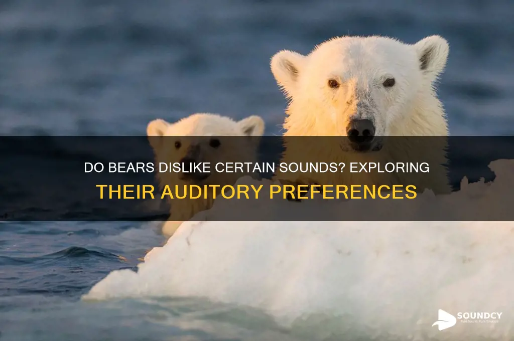 do bears dislike some sounds