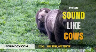 Do Bears Moo? Unraveling the Myth of Bear-Cow Sounds