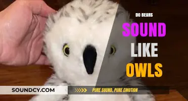 Do Bears Sound Like Owls? Unraveling the Myth of Animal Noises