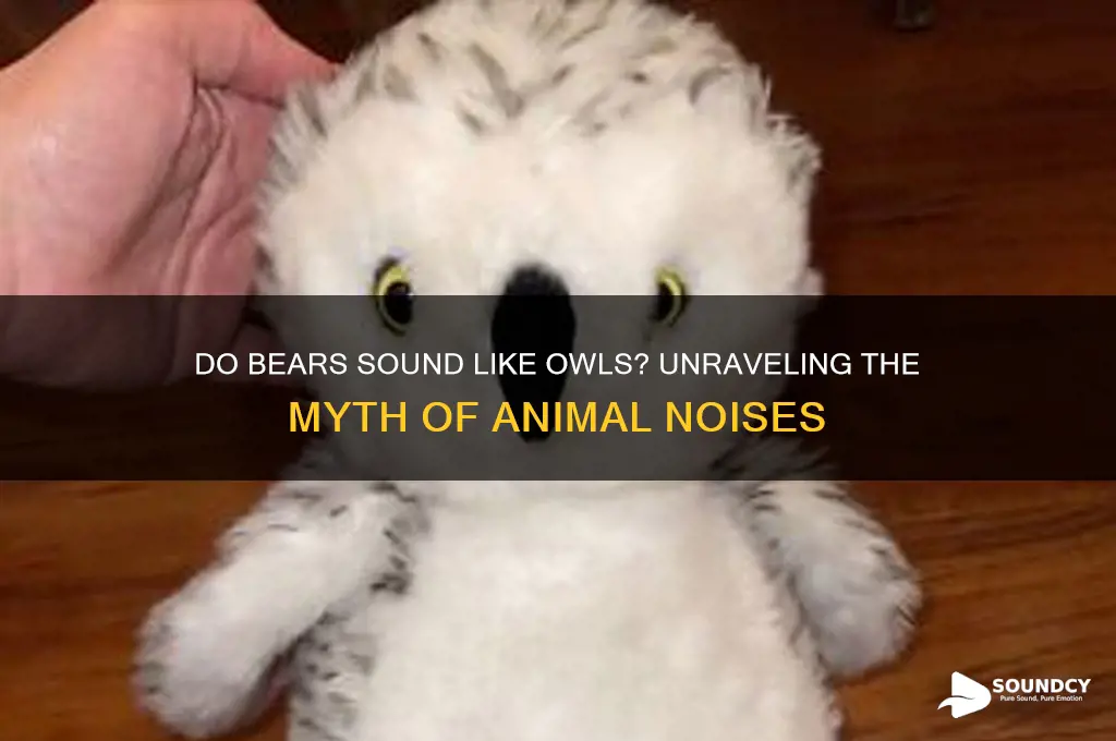 do bears sound like owls