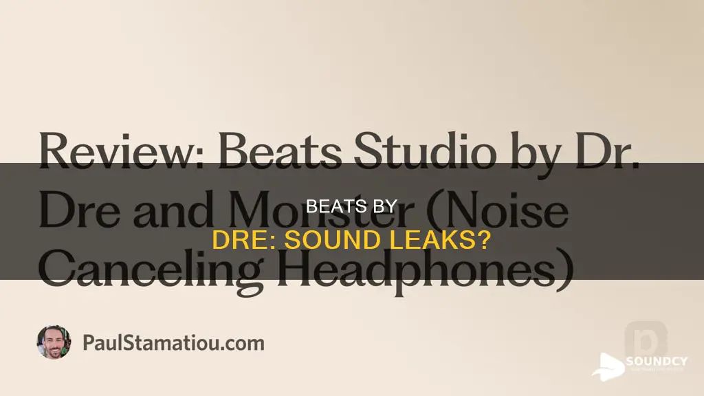 do beats by dre leak sound