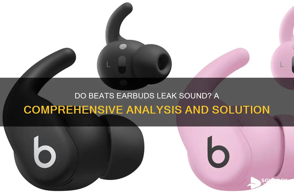 do beats earbuds leak sound