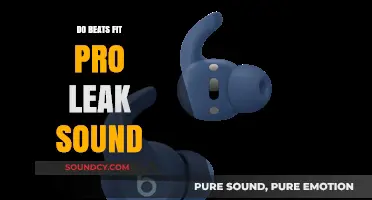 Beats Fit Pro: Sound Leakage Issues?