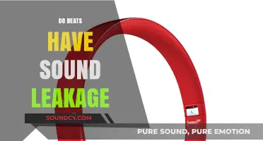Do Beats Leak Sound? A Comprehensive Analysis of Audio Privacy