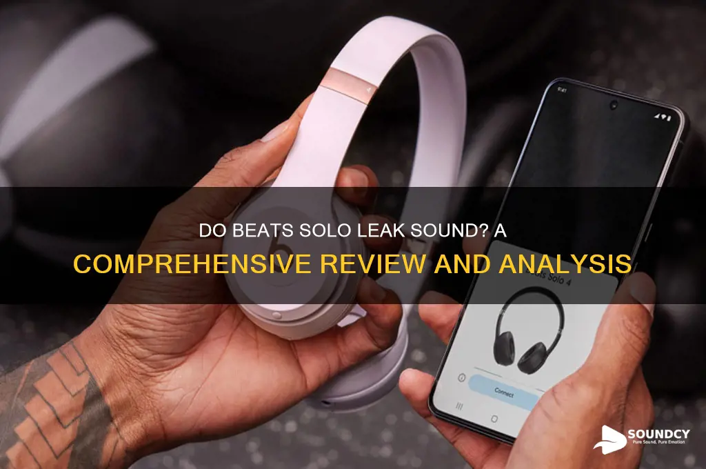 do beats solo leak sound