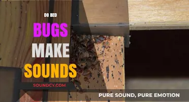 Do Bed Bugs Make Sounds? Uncovering the Truth About Their Noises