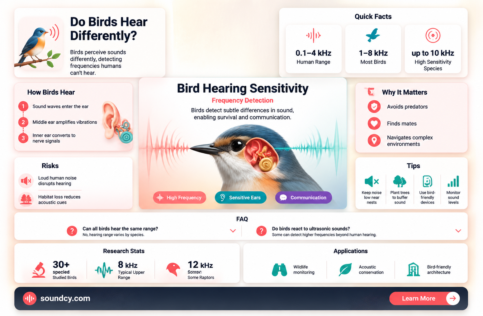 are birds sensitive to sound