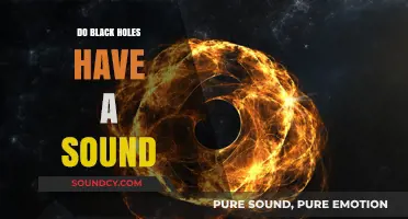 Black Hole Sounds: What's the Story?