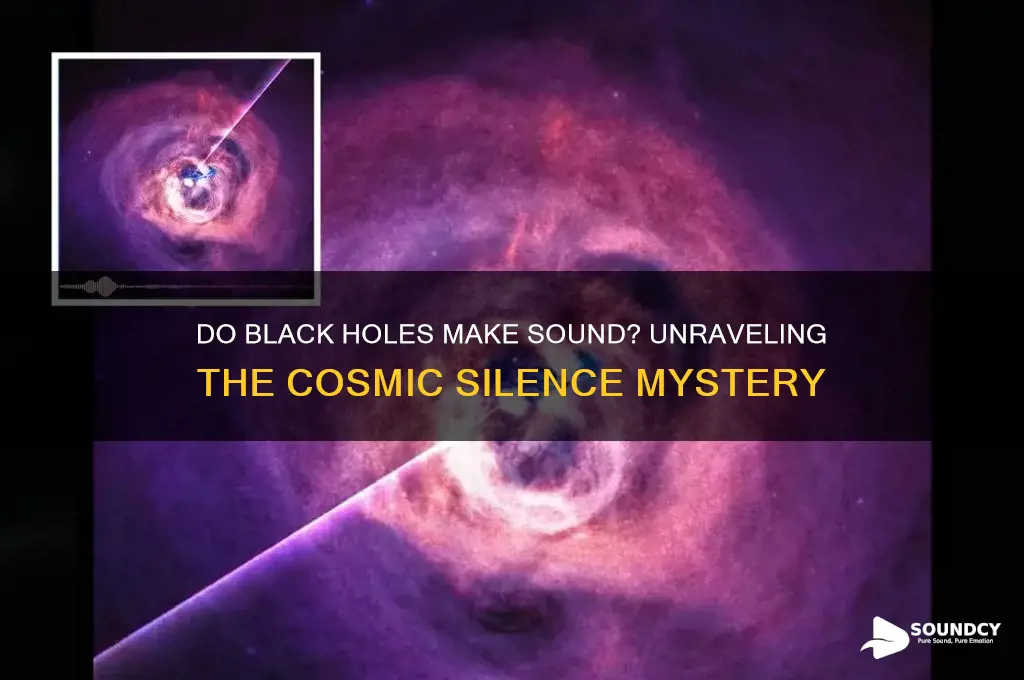 do black holes make sound
