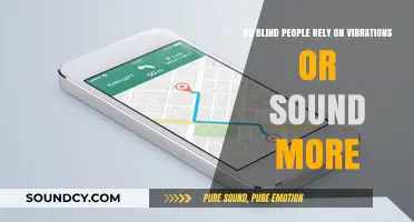 Vibrations vs. Sound: Which Sense Do Blind People Rely on More?