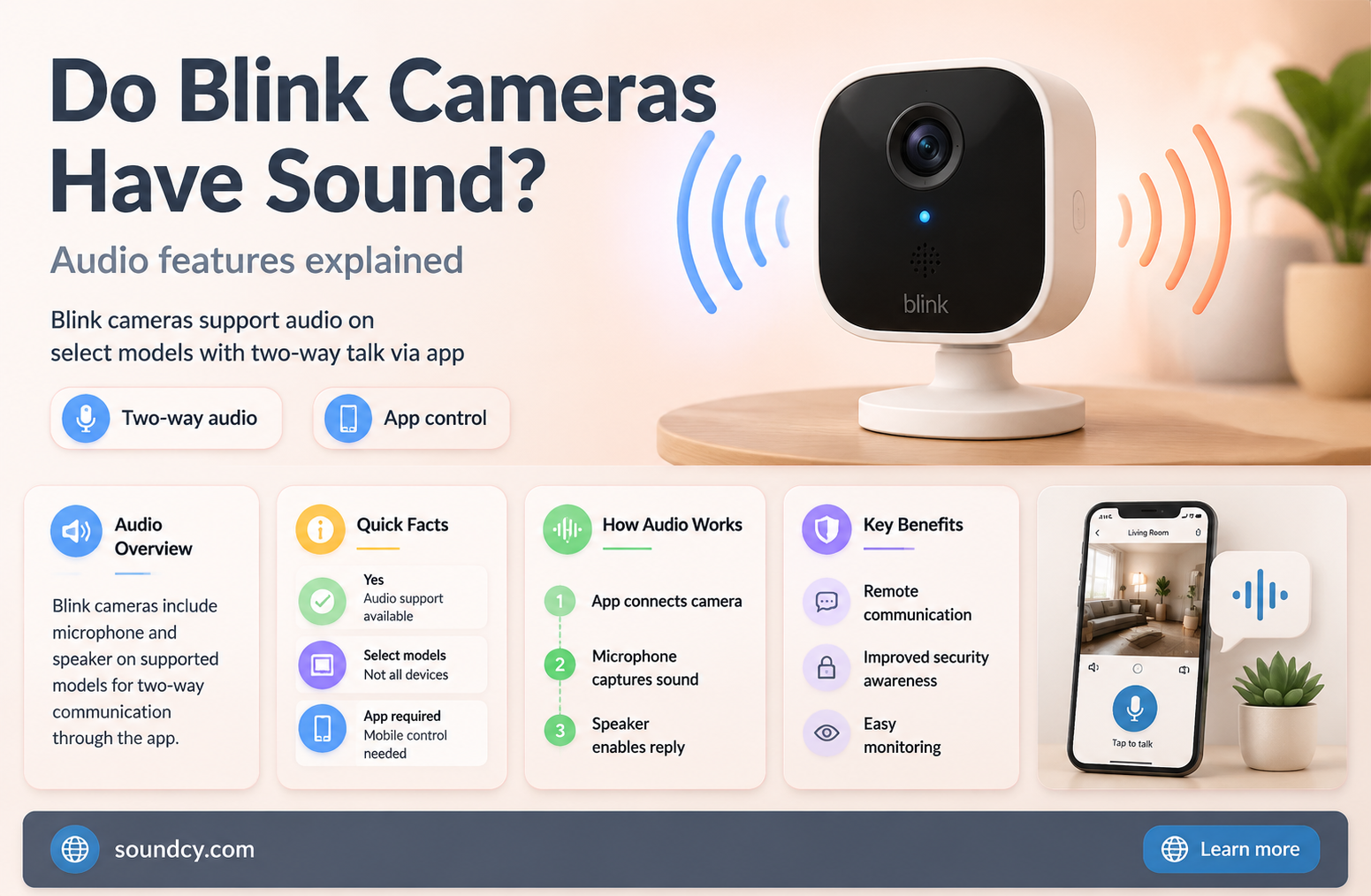 do blink cameras have sound