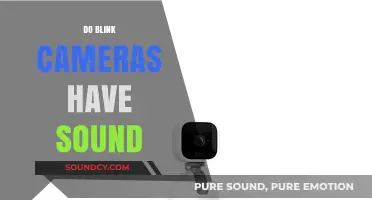 Do Blink Cameras Have Sound? Exploring Audio Features and Capabilities