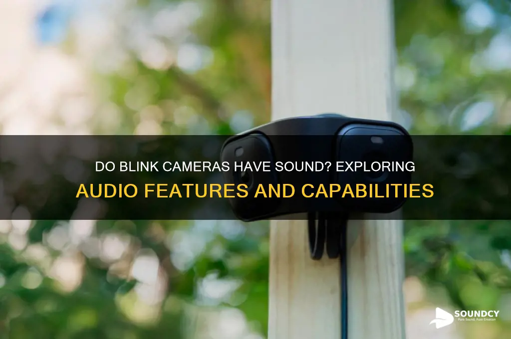 do blink cameras have sound