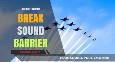 Blue Angels: Breaking the Sound Barrier?