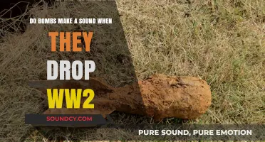 Did WWII Bombs Make Noise When Dropped? Unraveling the Silence