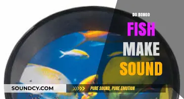 Do Bongo Fish Make Sound? Unveiling the Mystery of Their Noises