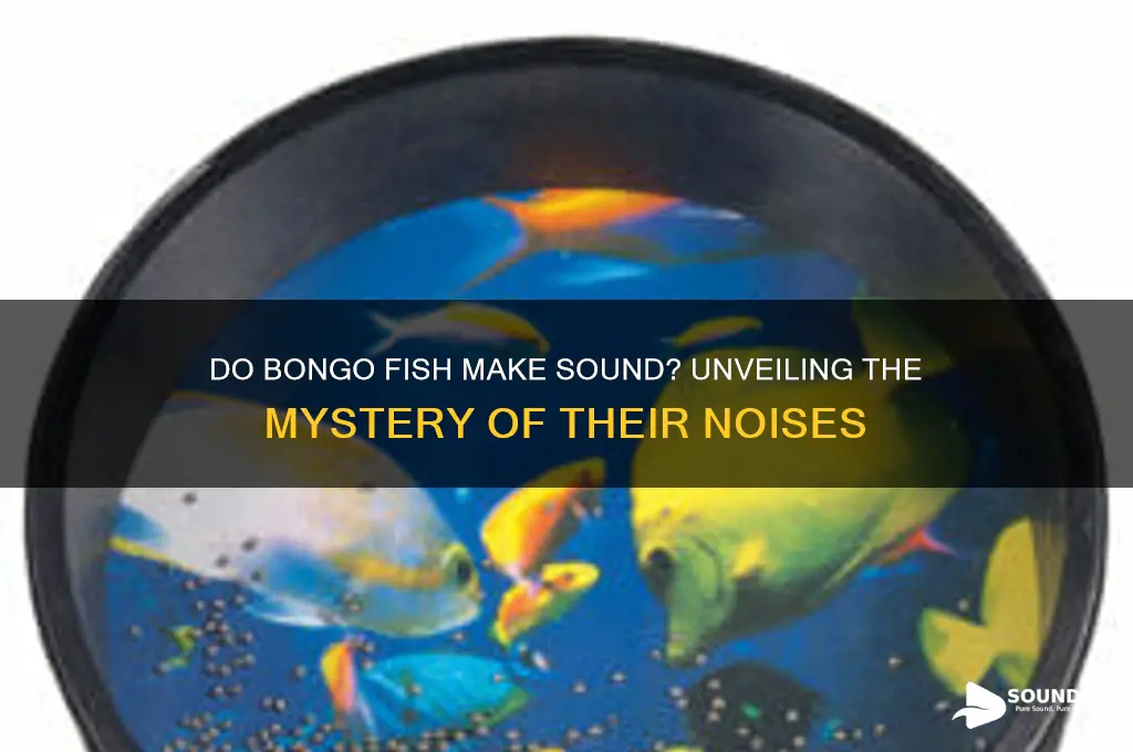 do bongo fish make sound
