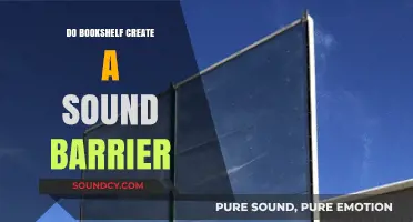 Bookshelves: Soundproofing or Sound Barrier?