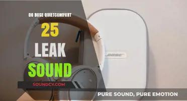Bose QuietComfort 25: Sound Leakage Issues?