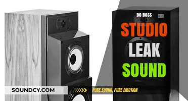 Do Boss Studio Leaks Sound: Unveiling the Truth Behind the Hype