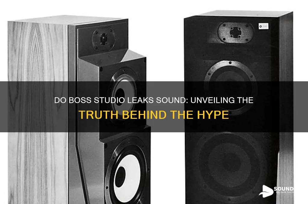do boss studio leak sound