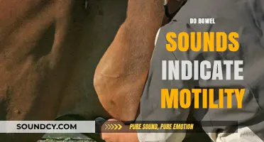 Do Bowel Sounds Reflect Motility? Understanding Gut Function Indicators