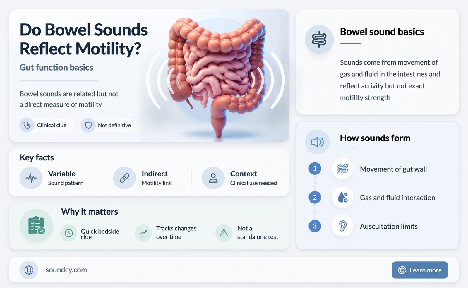 do bowel sounds indicate motility