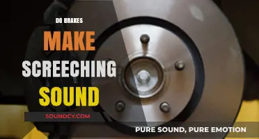 Why Do Brakes Screech? Causes and Solutions for Noisy Stops