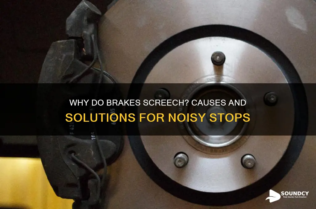 do brakes make screeching sound