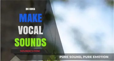 Do Bugs Make Vocal Sounds? Exploring Insect Communication Methods