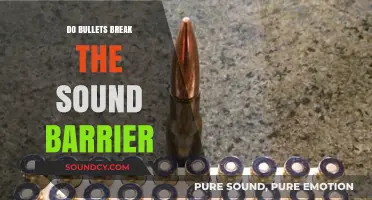 Bullets and the Sound Barrier: What's the Truth?