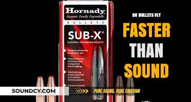 Bullets and Sound: Who's Faster?