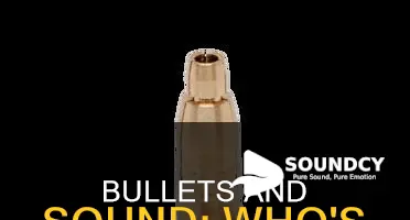 do bullets fly faster than sound