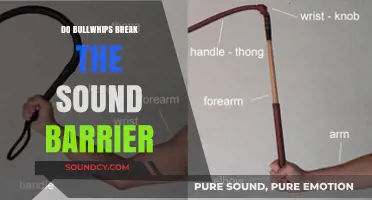 Bullwhip Crack: Faster Than Sound