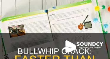 do bullwhips break the sound barrier