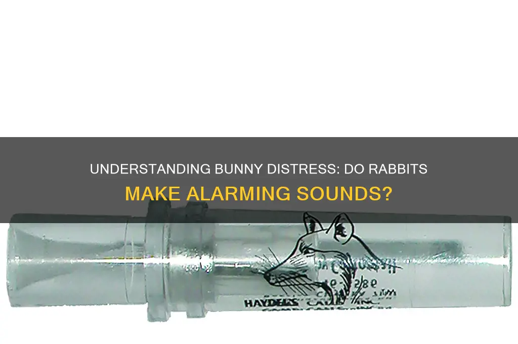 do bunnies make distressed sounds