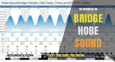 Business Opportunities on Hobe Sound's Iconic Bridge