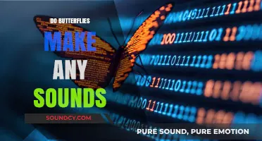Do Butterflies Make Sounds? Unveiling the Silent Beauty's Secrets