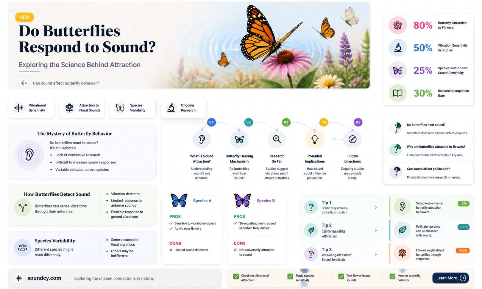 are butterflies attracted to sound